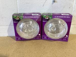 lot 538 image: LOT OF 2 Vibrant Life Exercise Ball 7.3 Large Clear