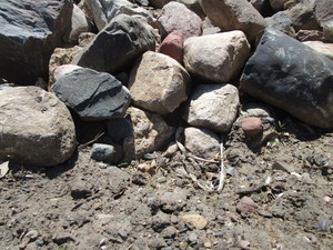 lot 138 image: Fieldstone Boulders 6-18, One Random Skidloader Bucket Full