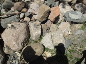 lot 146 image: Fieldstone Boulders 6-18, One Random Skidloader Bucket Full