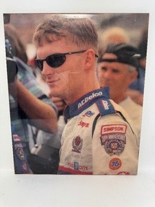 lot 17 image: Dale Earnhardt Jr Art 16 x 19