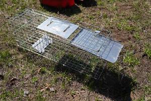 lot 372 image: 2 Live Trap