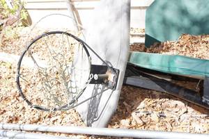 lot 25 image: Adjustable Basketball Hoop with Stand