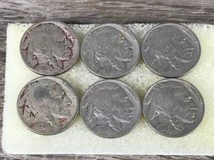 lot 276 image: 6 - Buffalo Indian Head Nickels