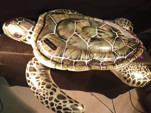 lot 248 image: Large sea turtle floaty