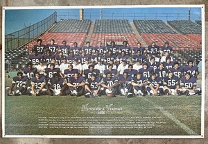 lot 246 image: Vintage Minnesota Vikings 1979 Cardboard Poster