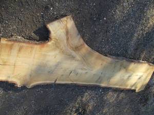 lot 4 image: 7.5 x 85 2 12 thick live edge oa...