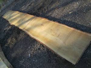15 x 119" 2 1/2" thick live edge oa...