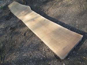 lot 7 image: 17 x 109 2 12 thick live edge bl...