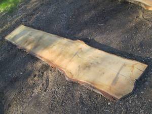 lot 8 image: 17.5 x 119 2 12 thick live edge ...