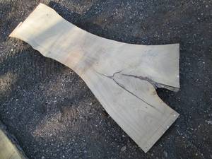 18 x 83" 2 1/2" thick live edge elm...
