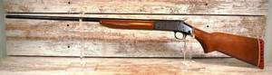 HARRINGTON & RICHARDSON .410 SHOTGUN