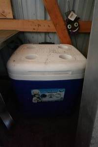 lot 217 image: Igloo Ice Cube Cooler