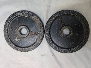 lot 11 image: Lot of a pair of 10LB One Inch Plates