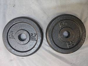 lot 13 image: Lot of a pair of 6LB One Inch Plates