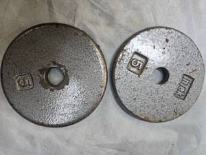 lot 16 image: Lot of a pair of 5LB One Inch Plates