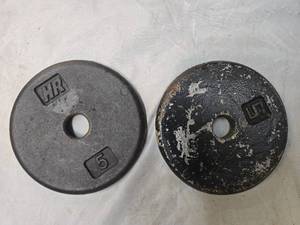 lot 19 image: Lot of a pair of 5LB One Inch Plates