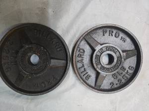 lot 20 image: Lot of a pair of 5LB One Inch Plates