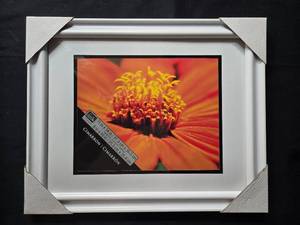 lot 198 image: Set of 2 Studio Decor White Photo Frames with Designer Mat and Heart Patterned Paper