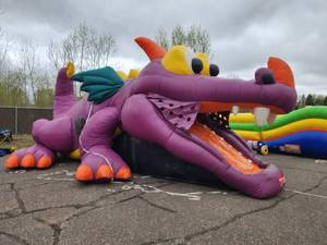 30 Ft Purple Dragon Toddler Playland