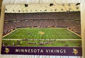 lot 170A image: Minnesota Vikings Large US Bank Stadium Canvas Photo