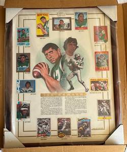 lot 171A image: Joe Namath Limited Edition Topps Football Card Framed Piece