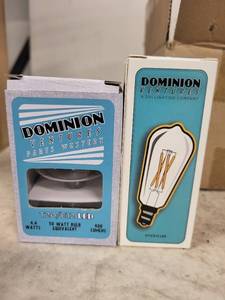 lot 7A image: Set of 24 Dominion Ventures LED Bulbs, T20E12 and ST12 Designs