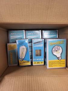 lot 10A image: Collection of Dominion Ventures LED Light Bulbs - G25 and ST19 Vintage LED