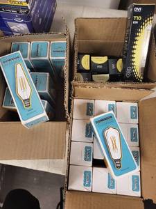lot 11A image: Collection of LED Light Bulbs - Dominion Ventures and DVI Lighting
