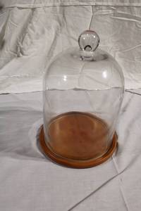 lot 12 image: Glass Display Dome with Wooden Base
