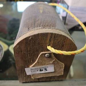 lot 63 image: HEY KIDS  Here is a butterfly cage