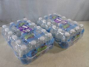 lot 148 image: (C-2) 2 - 24-Packs of Splash Acai G...