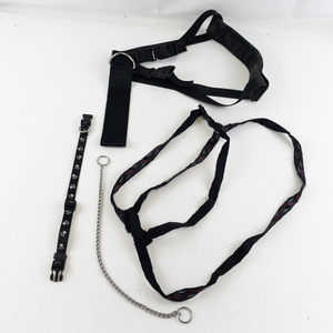 lot 134 image: Group of 3 Dog Harnesses & Collars