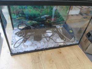 lot 119 image: 10-gallon fish aquarium with water ...