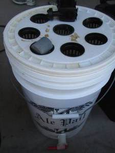 lot 198 image: Hydroponic cloning set-up with air ...