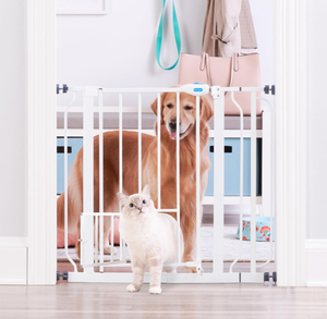 lot 114 image: Carlson Extra Wide Walk Through Pet Gate with Small Pet Door, Includes 4-Inch Extension Kit