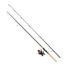 Daiwa BG3000/701M BG Saltwater Spinning Combo