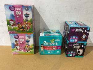 lot 317 image: LOT OF 5 Miscellaneous Diapers
