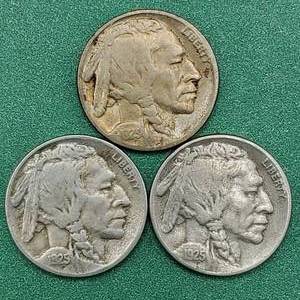 lot 62 image: 1925-P,D & S Buffalo Nickels Check the Horns