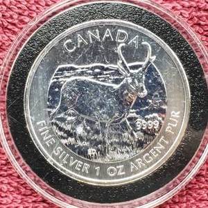 lot 121 image: 1 Troy Oz Silver 2013 Antelope