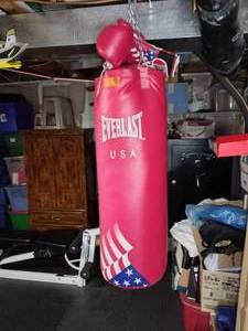 lot 8 image: Everlast Punching Bag and Gloves
