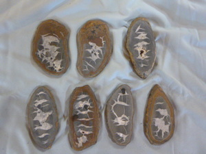 lot 39 image: 7 Septarian Slabs