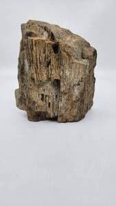 lot 69 image: Nice Heavy Petrified Wood Specimin - Weighs approx 3 Pounds