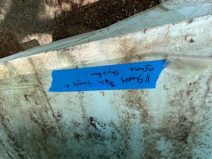 lot 107 image: 4x8 1 tongue & groove styrofoam