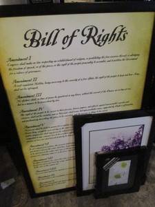 lot 49 image: Bill of Rights Poster, Frames