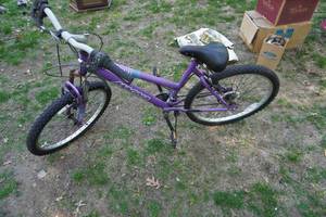 lot 41 image: Magna Brand Great Divide Youth Bike