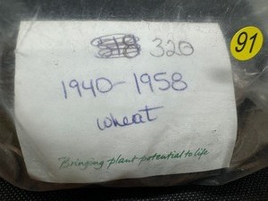 lot 91 image: 320 1940- 1958 Wheat Cents