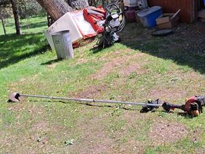 lot 46 image: Homelite Zip Start Gasoline-Powered Lawn Disc Trimmer with 10 Custom Extension Pole