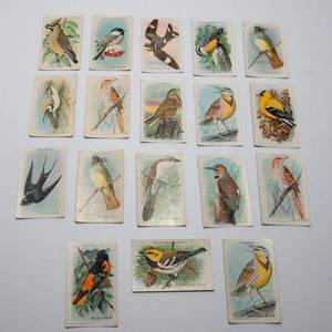 lot 100 image: 1938 Church & Dwight Useful Birds of America  Complete 10th Series (15 Cards)  Duplicates