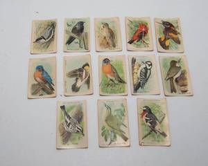 lot 245 image: Church & Dwight Useful Birds of America  Incomplete 9th Series