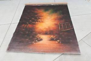 lot 123A image: 8 x 10  Computer Generated Canvas Photography Background  with TreeFence